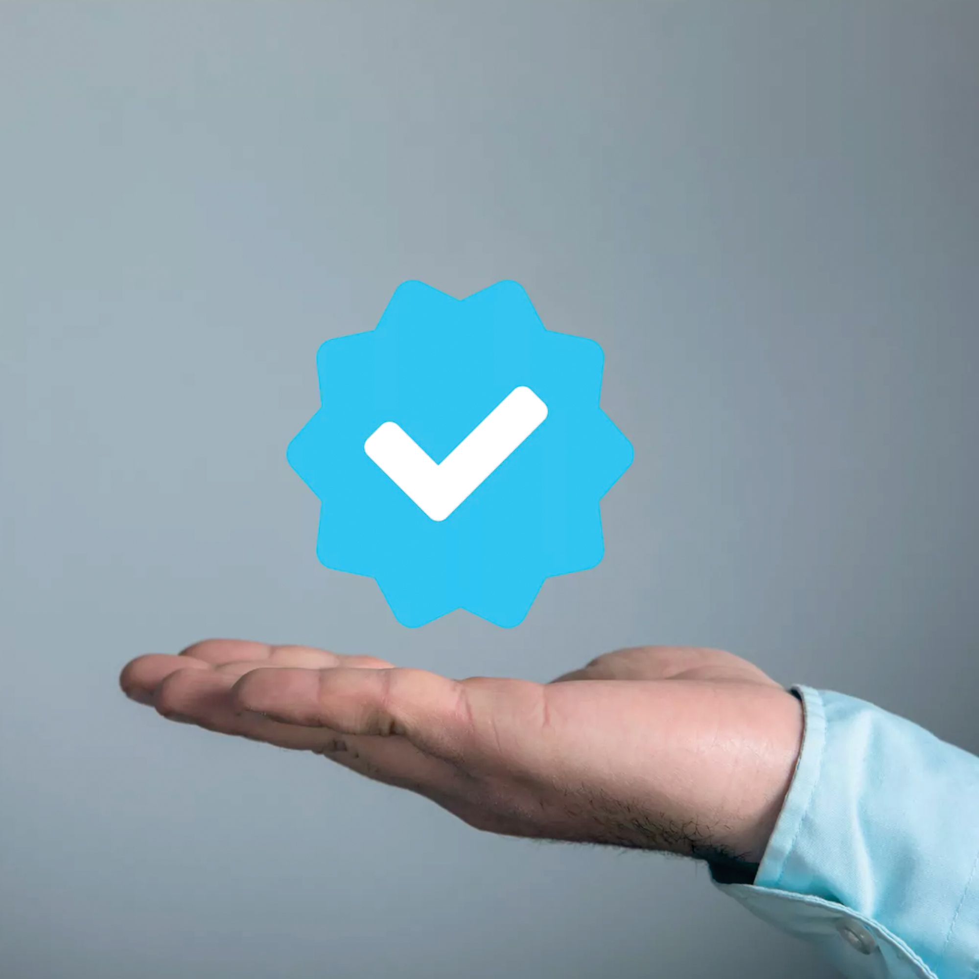 Asset Verification & Validation